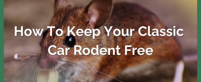 How To Keep Your Classic Car Rodent Free
